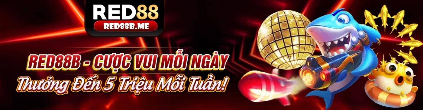Hình ảnh chính trang Tin tức rt88