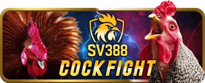 Ưu đãi dành cho thành viên VIP